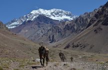 Trekking to Confluencia, Aconcagua first base camp