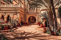 Crocodile Park+ Coco Polizzi including Transportation and entrance