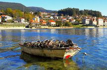 Rías Baixas Tour