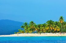 Private Full-Day Samaná Whale Watching Tour from Punta Cana