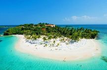 Private Full-Day Samaná Whale Watching Tour from Punta Cana