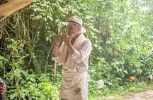 Best Coffee Tour from Medellin with Lunch and Transportation