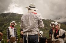 Best Coffee Tour from Medellin with Lunch and Transportation