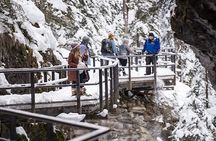 Rockies Select 2-Day Tour (Banff & Yoho National Park)
