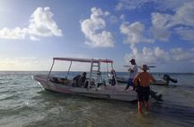 2 Tank Reef Dive in Mexico