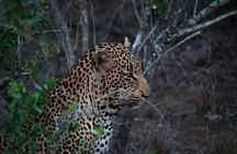 6 days the best of Tanzania private safari