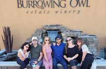 Osoyoos Full Day Lunch Wine Tour: Tasting Fees & Guide Grat Incl!