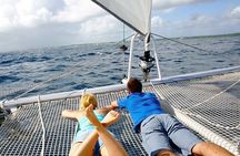 Private Catamaran Cruise to Ile aux Cerf from Pointe Jerome