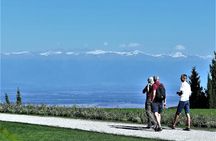 Full Day Tour Sighnaghi and Bodbe Including Wine Tasting
