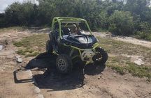 3 in 1 Activities in Punta Cana: Terracroos, horse back riding and parasailing