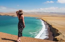 PARACAS! Ballestas Islands + Paracas National Reserve + Candelabro and much more