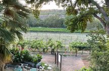 All inclusive Sedona Wine Experience
