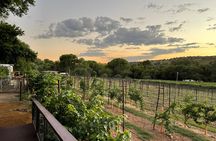 All inclusive Sedona Wine Experience
