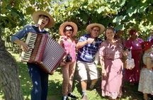 Private Tour to Serra Gaucha Wineries with Tasting