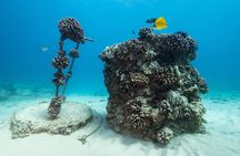 Certified Diver: 2-Tank Shallow Reef Dives off Oahu