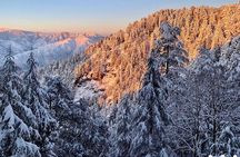 Kaflani Day Hike - Mussoorie 