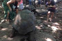  Full Day Spice Tour, Prison Island and City Tours