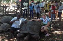  Full Day Spice Tour, Prison Island and City Tours