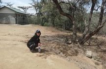 one day hells gate National park tour