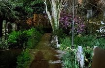 Ghosts of Charleston Night-Time Walking Tour with Unitarian Church Graveyard