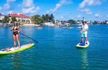 Kayak and Paddleboard Rentals at Siesta Key