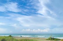 Kayak and Paddleboard Rentals at Siesta Key