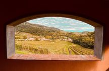Lucca: Wine Tasting Experience - Tenuta Adamo Winery