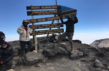 Kilimanjaro 7 Day Private Trekking Experience