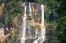 Mikumi National Park & Udzungwa Water Falls 3 Days Group Tour