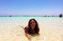Snorkeling by Boat to Ras Mohamed and White island excursion in Sharm