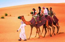 Morning Desert Safari