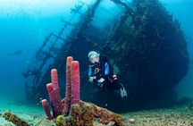 Aruba Guided Night Dive Adventure: Shallow Reefs or Shipwrecks