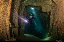 Aruba Guided Night Dive Adventure: Shallow Reefs or Shipwrecks