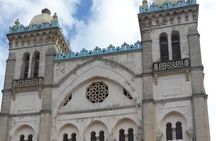 Private Guided Excursion Tunis, Carthage and Sidi Bou Said from Hammamet
