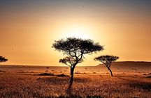 4-Day Group 4×4 Safari to Masai Mara & Lake Nakuru with Pick-Up