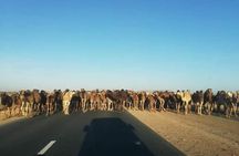 Sahara desert 2 days 1 Night from Agadir