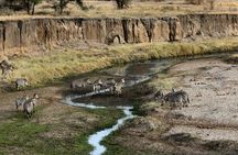 6 days the best of Tanzania private safari