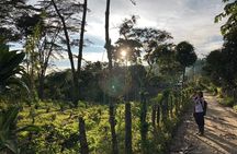 Birdwatching and Coffee Tour in Salento