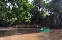 Safari Float