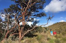 Cajas National Park Small-Group tour from Cuenca