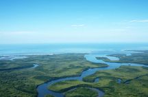 One Day Tour To Térraba-Sierpe Mangrove By Boat From Sierpe