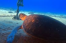 Certified Diver: 2-Tank Night Dive