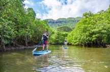 Okinawa Iriomote Mangrove SUP or Canoe Tour