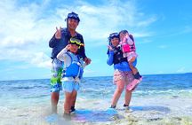 Okinawa Iriomote Snorkeling Tour at Coral Island