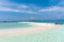 Ishigaki Mangrove SUP or Canoeing and Phantom Island Snorkeling
