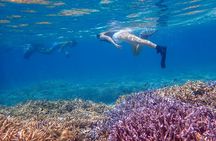 Ishigaki Phantom Island Snorkeling ＆ Kabira Bay SUP or Canoeing