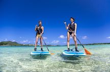 Okinawa Ishigaki Kabira Bay SUP or Canoe Tour