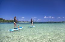 Ishigaki Phantom Island Snorkeling ＆ Kabira Bay SUP or Canoeing
