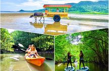 Okinawa Iriomote SUP or Canoe and Sightseeing in Yubujima Island