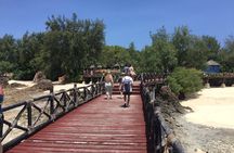 Full-day Prison Island, Nakupenda and Stone Town Tour with Lunch Buffet